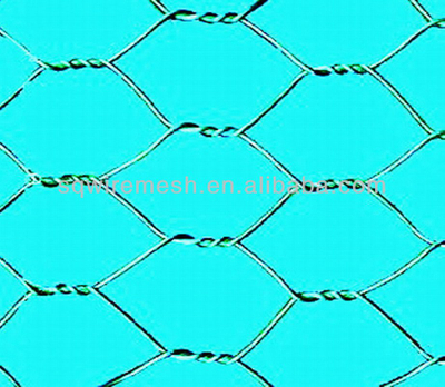 Galvanized manufacture hecagnal wire mesh