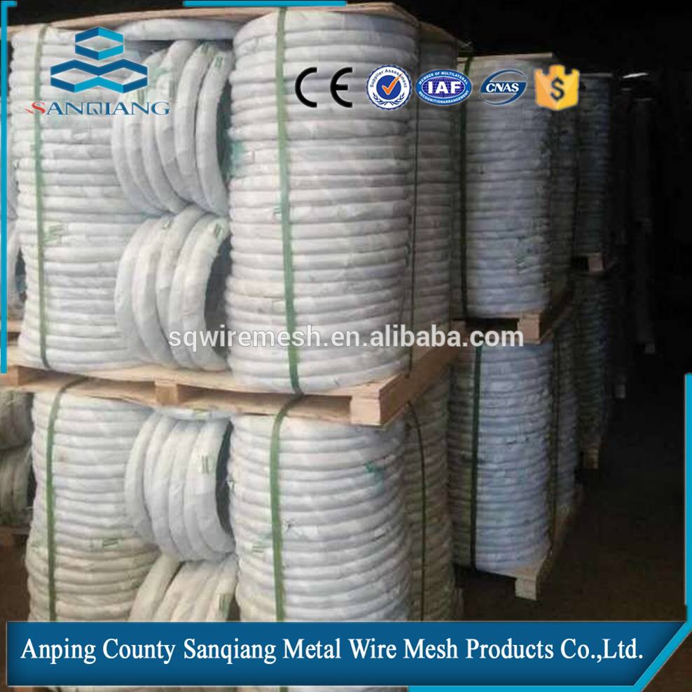 BWG 22 8kg Electro Galvanized Iron Wire