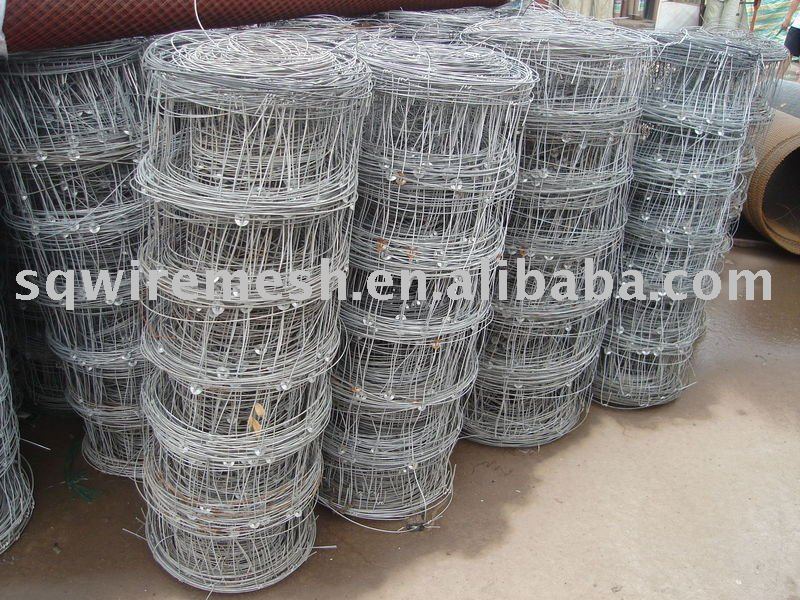 cattle fence