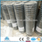 2*2 galvanized welded wire mesh (Anping manufacture)