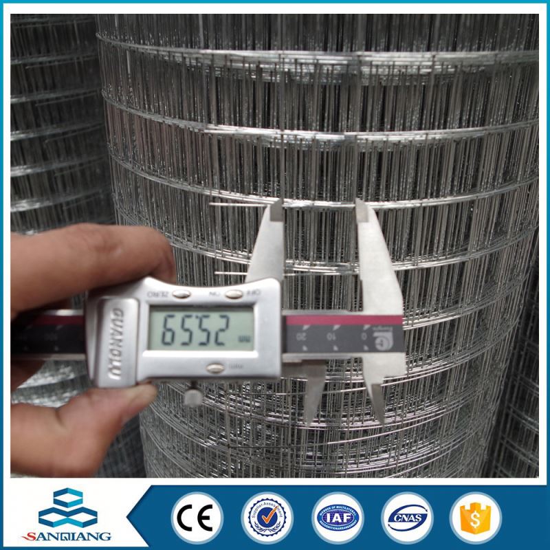 cheap competitive price 1/4 inch galvanized stainless steel welded wire mesh
